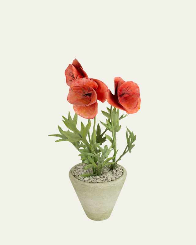 Poppy August Birth Flower in White Terracotta Pot